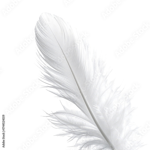 A pristine white feather against a stark black background, delicate and airy