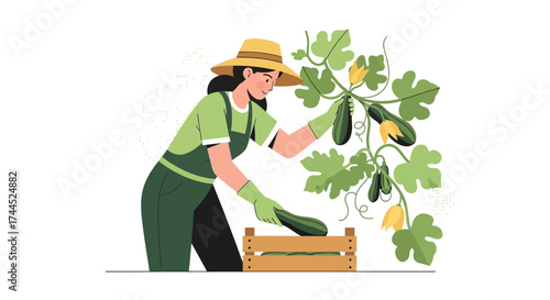 Cultivating Zucchini: A Gardener Harvesting Fresh Vegetables From a Lush Plant