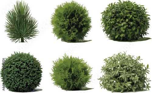 Green decorative bushes vector, round shrubs illustration, garden landscape foliage design, natural ornamental plants, evergreen greenery artwork