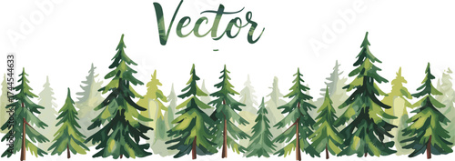 Vector illustration of green pine trees forest, evergreen conifer landscape, natural woodland background, outdoor nature design
