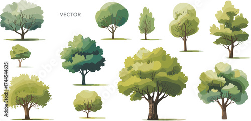 Vector illustration of green trees collection, natural forest design elements, eco landscape artwork, botanical garden nature