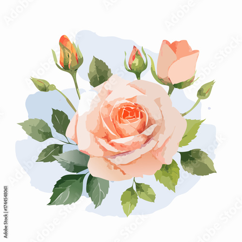Zarter Aquarell-Hintergrund mit rosa Rosen in unterschiedlichen Blütenstadien