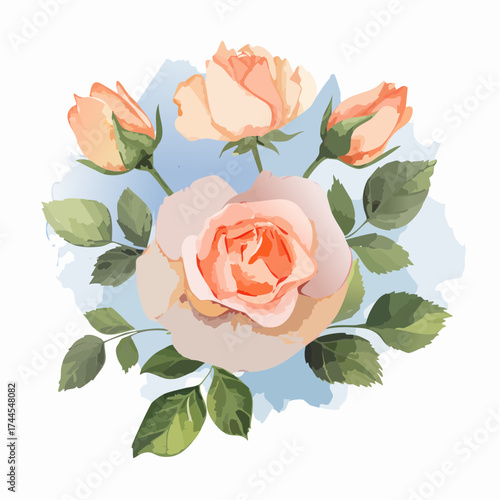 Zarter Aquarell-Hintergrund mit rosa Rosen in unterschiedlichen Blütenstadien