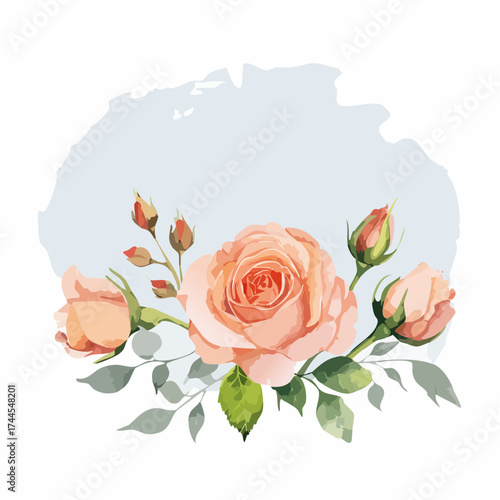 Zarter Aquarell-Hintergrund mit rosa Rosen in unterschiedlichen Blütenstadien
