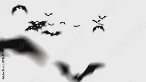 Flying bats isolated on white background 