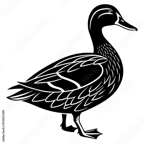 Stylized black and white illustration of a mallard duck