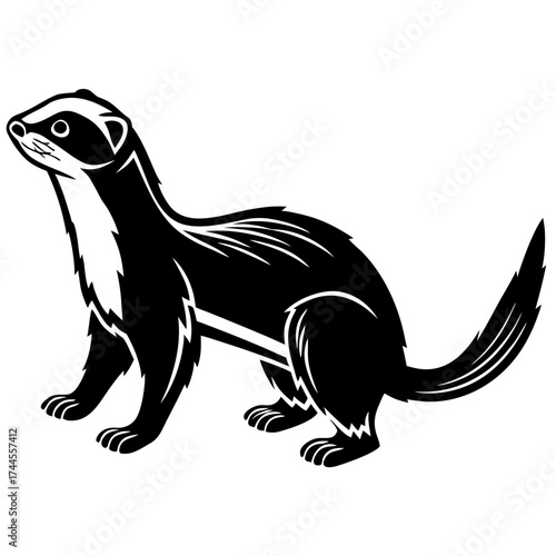 Stylized black and white ferret illustration