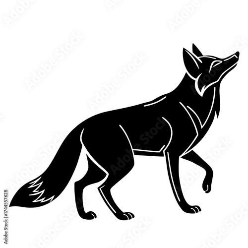 A black image
