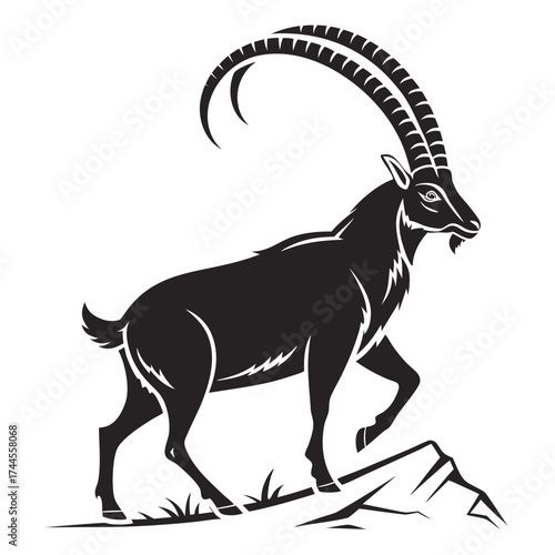 Majestic ibex silhouette standing on rocky terrain
