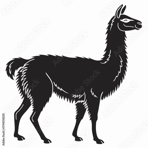 Black silhouette of a llama standing profile