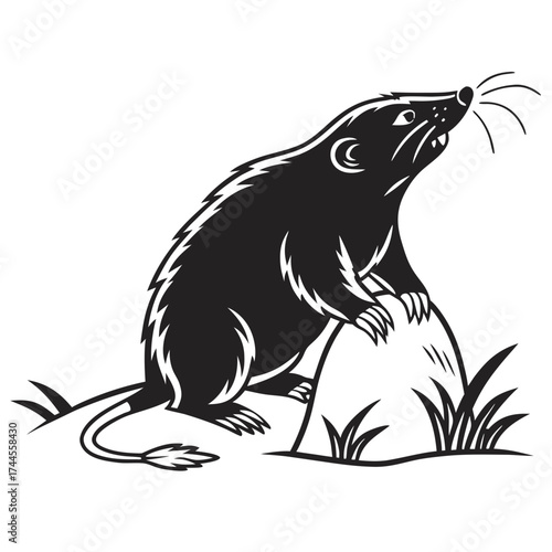 Stylized black and white illustration of a mole
