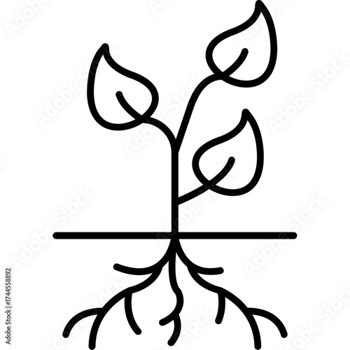 Root Outline Icon