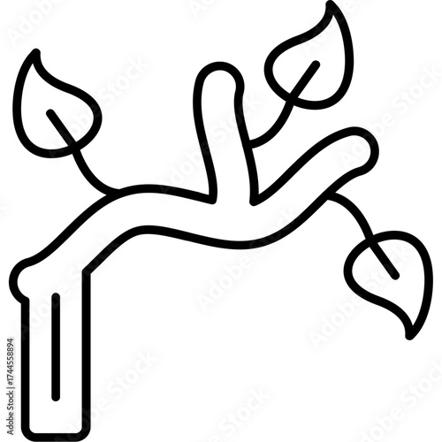 Branch Outline Icon