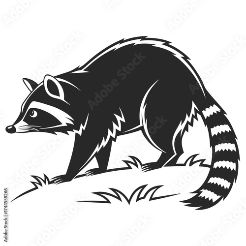 Stylized black and white raccoon illustration on grass