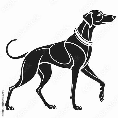 Elegant black silhouette of a sighthound dog