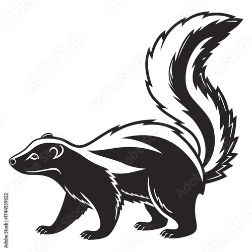 Stylized black and white skunk illustration