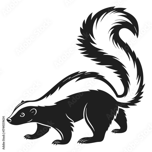 Stylized black and white skunk illustration
