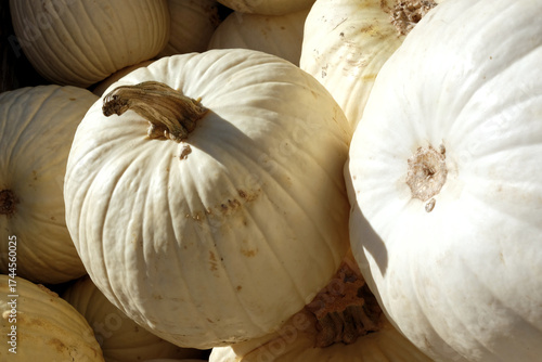 Ghostly White Pumpkins