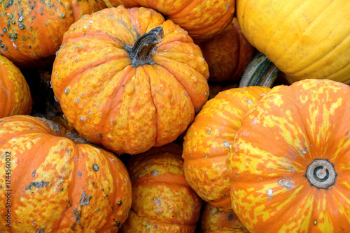 Brightly Colored Orange Striped Pumpkins