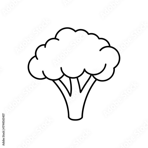 Broccoli outline drawing on transparent background
