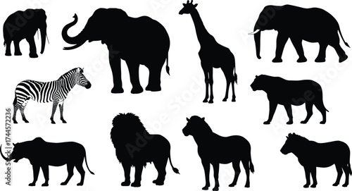 Silhouettes of wild African animals including elephant, giraffe, lion, zebra, rhino, and tiger, wildlife collection, safari illustration, nature design