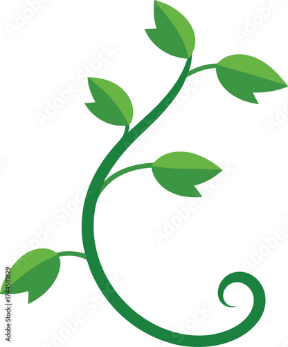 Minimalist Green Plant Vine with Leaves and Curled Tendril Vector