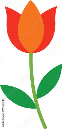 Minimalist Red and Orange Tulip Flower Vector