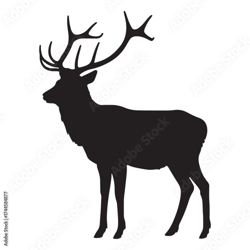 Majestic silhouette of a large stag with impressive antlers standing proudly