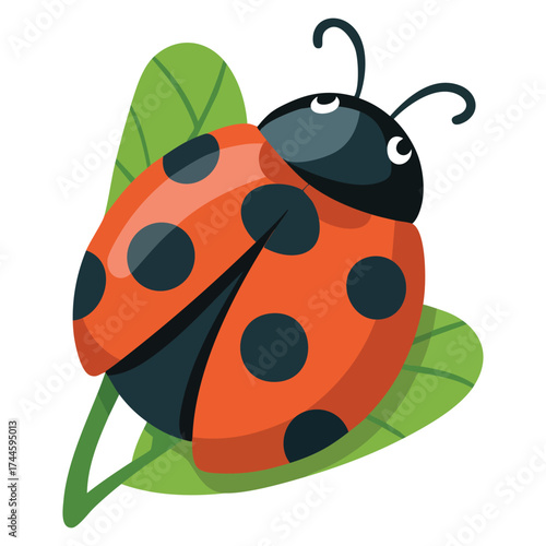 Cute ladybug icon vector illustration perfect for print on childrens clothing, insect fauna biology elements, notebook labels badges or stickers
