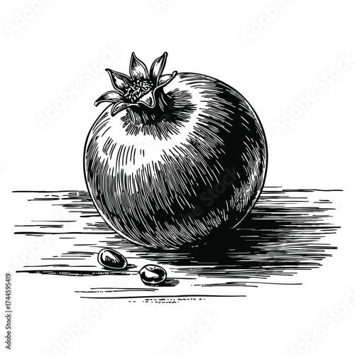 Hand drawn sketch style fruit garnet pomegranate concept engrave design vector isolated illustration big collection ideal for retro artwork themes
