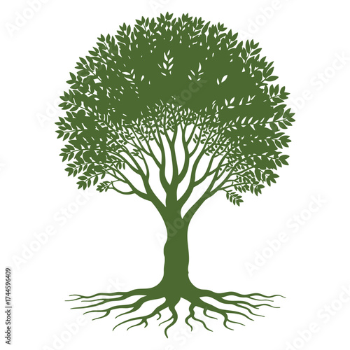 Vector illustration branchy tree with strong roots tree of life symbolic graphic image design element suitable for environment conservation artwork