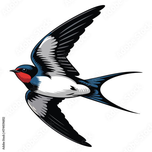 Vector illustration of cute swallow bird soaring in sky with wings spread ideal for postcards, cartoon flat style, sticker design, and isolated background