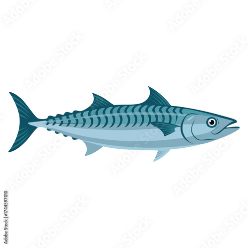 Vector illustration of mackerel scomber seafood perfect for gourmet water delicacy underwater animal fishing and culinary recipe illustrations