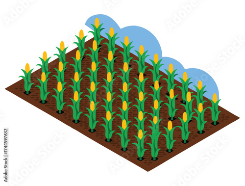 Work in field vector illustration of plant stems and corn poster or banner for website suitable for countryside, rural farming, nature, flora, and botany themed designs