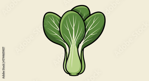 Isolated vector illustration of a vibrant bok choy, presented in a clean, modern style, ideal for use in culinary designs or health-focused marketing materials.