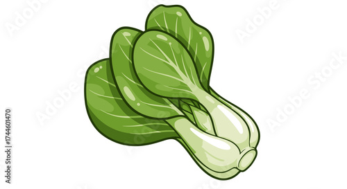 A vibrant vector illustration of a fresh, healthy Bok Choy vegetable, presented on a clean white background, perfect for culinary and dietary content, showcasing its natural green color.
