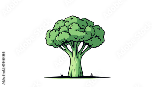 A vibrant green broccoli vector illustration, perfectly rendered as a transparent PNG, stands ready for healthy food designs and nutritional concepts.