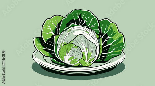 A vibrant vector illustration showcases a fresh, green cabbage on a white plate, set against a soft, pastel green background, perfect for healthy eating and culinary themes.