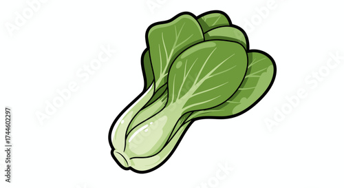 A fresh green bok choy vegetable, rendered as a clean vector illustration, stands isolated on a white background, perfect for culinary designs.
