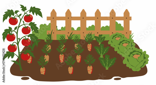 A vibrant vector illustration showcasing a flourishing vegetable garden with ripe tomatoes, carrots, and leafy greens, all neatly arranged behind a wooden fence in a sunny, inviting environment.