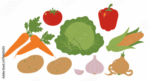 A colorful vector illustration showcasing a variety of fresh vegetables, perfect for adding a healthy and vibrant touch to any culinary or nutritional design project.
