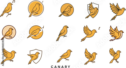 Canary Bird Logo and Icon Collection