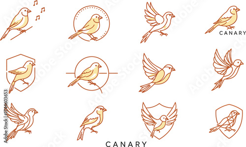 Collection of Minimalist Canary Bird Logos and Icons .