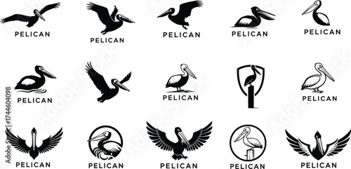 Pelican Logo Vector Design .