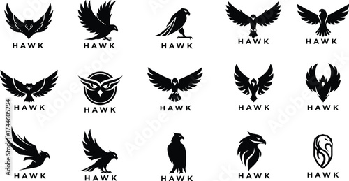 Collection of Hawk and Eagle Logos