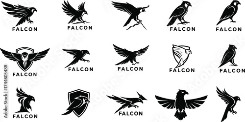 Collection of Dynamic Falcon Logos for Branding and Sports .