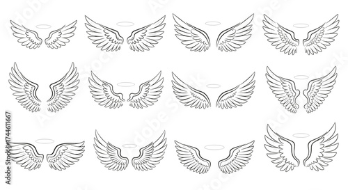 A diverse collection of ornamental and stylized wing designs suitable for various artistic applications and creative projects.