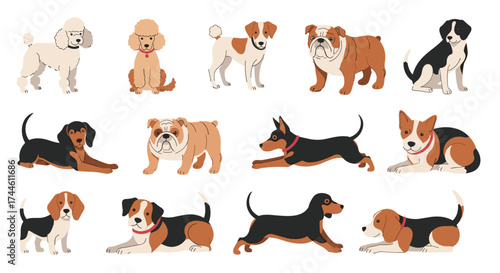 A diverse collection of charming dog breeds showcasing their unique personalities and adorable features.