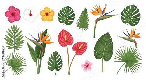 A collection of vibrant tropical flowers and lush green foliage elements for design.