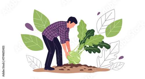 Farmer Harvesting a Large Vegetable from Garden with Decorative Leaves Imagery